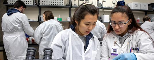 ACE and Higher Education Groups Back Legal Challenge to NIH Grant Terminations